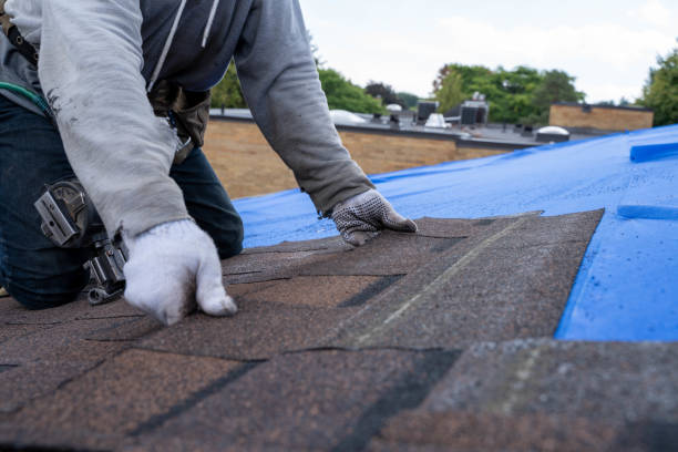 Best Roof Waterproofing Services  in Echelon, NJ