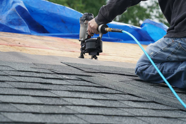 Best Roof Gutter Cleaning  in Echelon, NJ